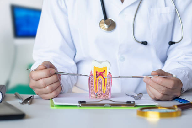 Best Emergency Treatment for Dental Infections or Abscesses in Bastrop, TX